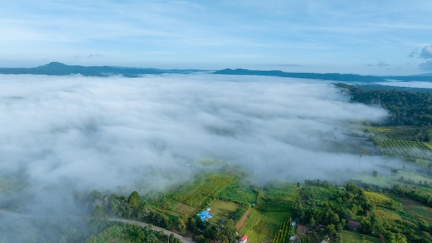 Photo mountains in fog at beautiful autumn in phetchabun thailand fog mountain valley low clouds forest colorful sky with pine trees in spruce foggy forest with bright sunrise