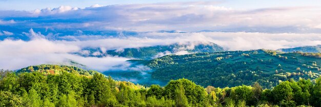 Mountains in the fog morning fog covered the mountains and\
forests at sunrise on a warm summer day