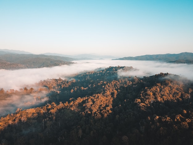 Mountains and fog in the morning,The forest in the morning from Above