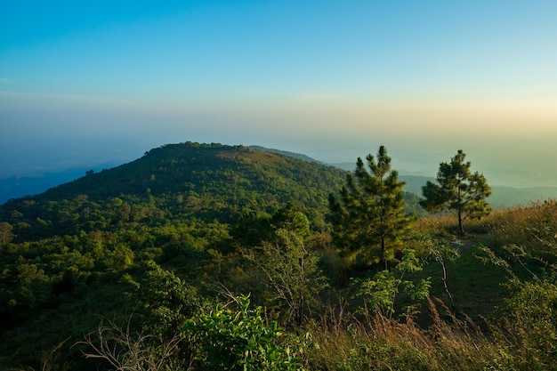 タイの朝の山と霧