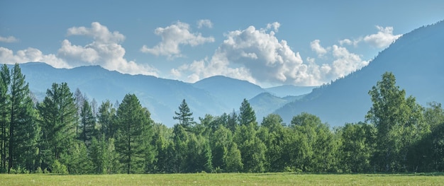 Mountains in the fog panoramic rural view morning mist summer