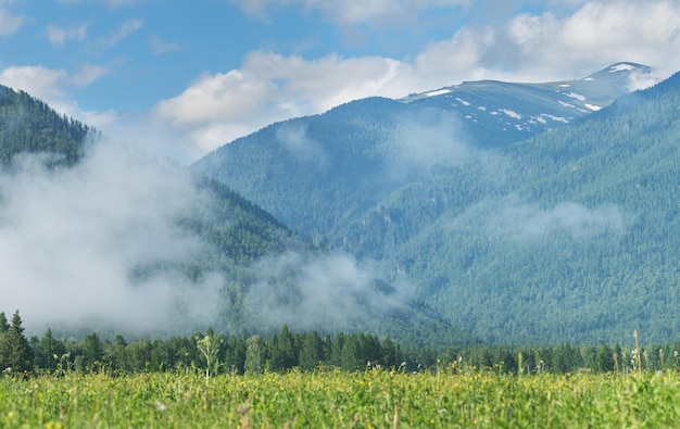 Mountains in the fog rural view morning mist summer