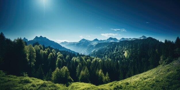 Photo mountains forest and blue sky