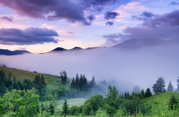 霧の中の山と森 日の出時の夏の美しい自然の風景 森と山 山の風景画像