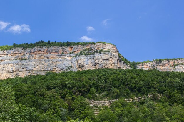 Mountains and forest under light blue sky with clouds.