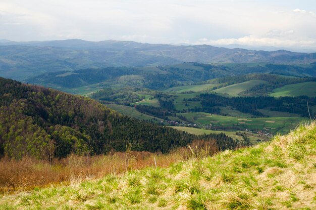 Mountains and forests