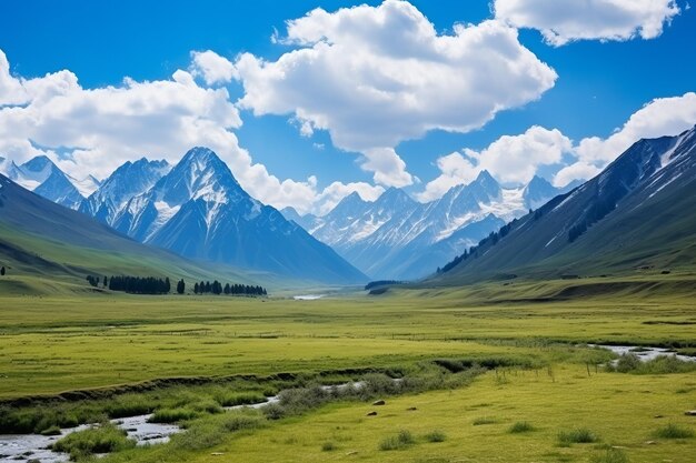 Mountains and green fields