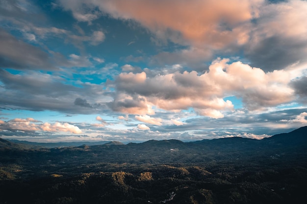 Mountains and green trees in the evening