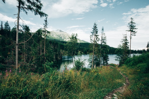 Mountains and lake, vintage filter