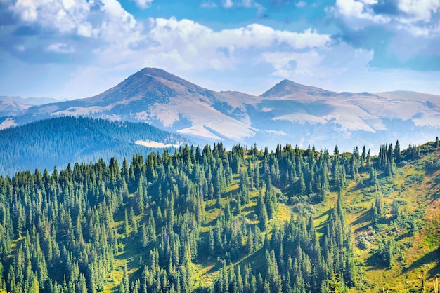 Paesaggio di montagne e foreste