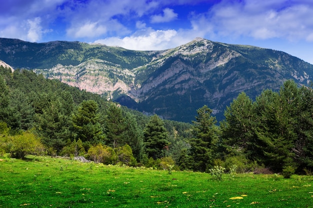 mountains landscape in summer day 