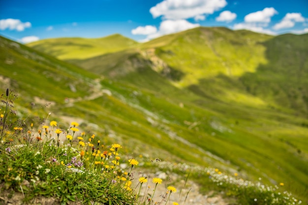 Mountains landscape