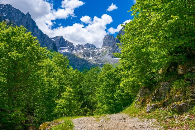 In montagna si trova una tortuosa strada rocciosa.