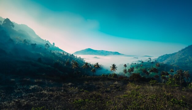 Mountains under mist in the morning amazing nature scenery form kerala