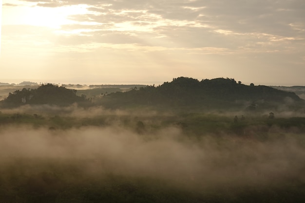 Foto montagne e nebbia al mattino