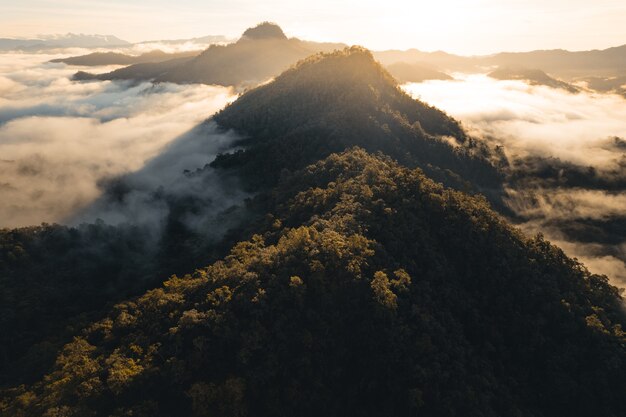 Mountains and morning fog in winter tropical forest