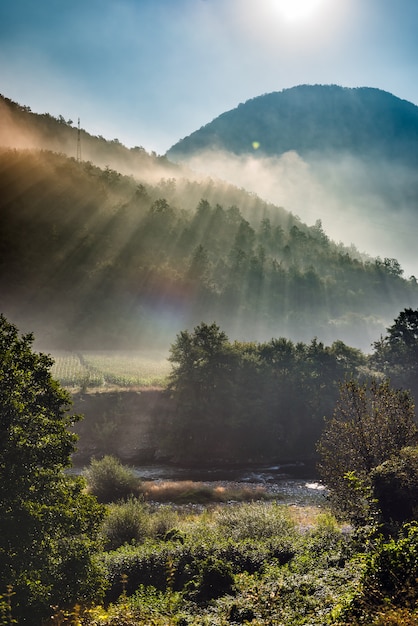 Mountains and morning fog