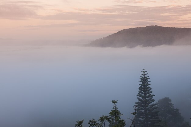 Mountains in the morning fog.