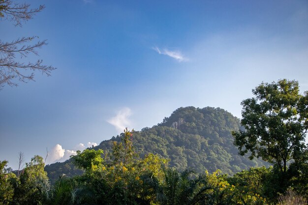 Foto montagne nella natura e foreste verdi l'atmosfera è pura e l'aria è luminosa