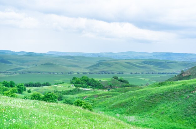 Photo mountains and plains in summer