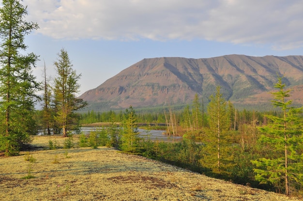 Mountains of the Putorana plateau