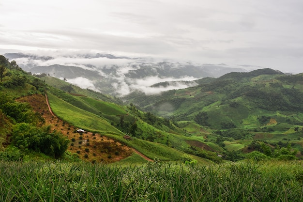 Mountains in the rainy season.