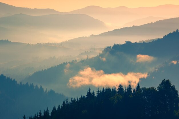 Mountains Range at early morning beautiful landscape background Carpathian Ukraine Europe