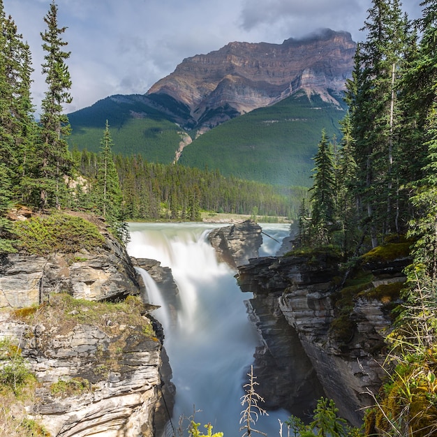 Mountains, rivers and waterfalls make up magnificent landscapes. Jasper Park. Rocky Mountains of Canada. Athabasca Falls. Travel, ecological and photo tourism concept