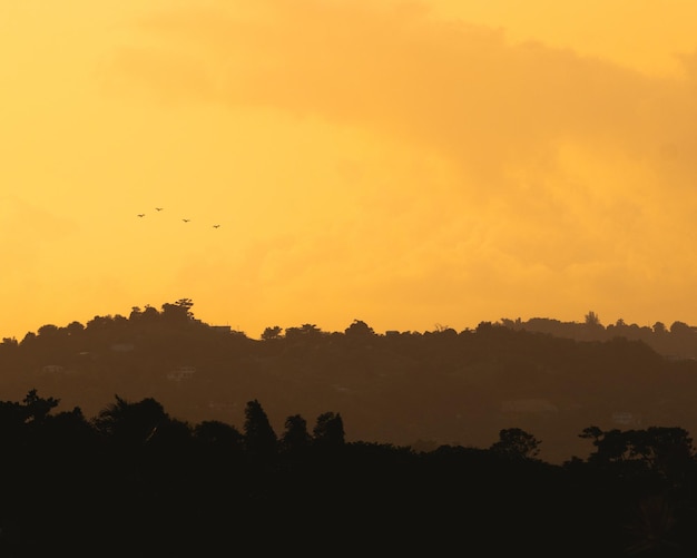 Mountains silhouette landscape golden hour moment from puerto rico fields