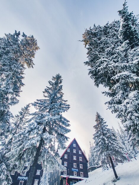 Mountains ski resort in carpathian mountains copy space