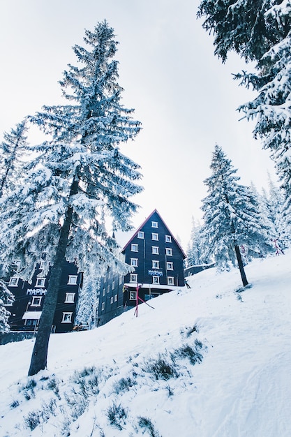 Mountains ski resort in carpathian mountains copy space