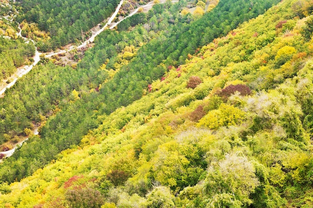 クリミア半島の渓谷 ashlamadere の山の斜面