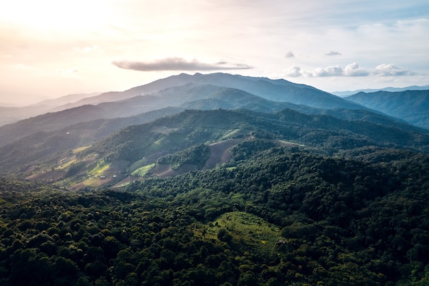 Mountains and summer green forests from above