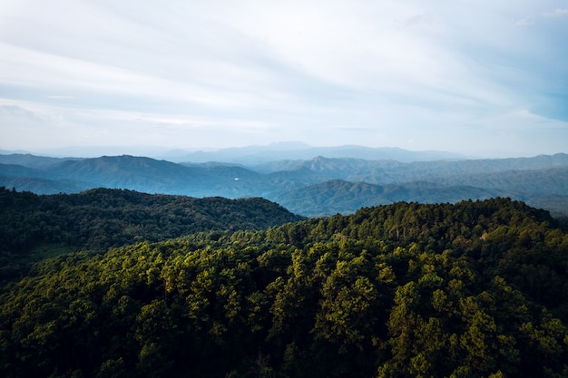 Mountains and summer green forests from above