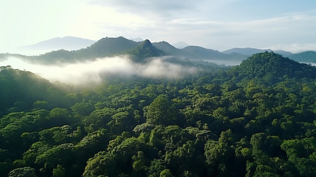 Mountains and summer green forests