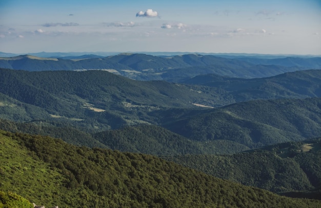 Mountains traveling mountain range and tree forest nature landscape national park travel landmark