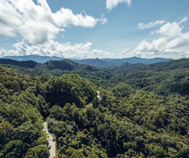 Mountains and trees during daytime summer