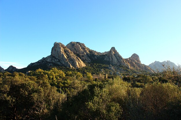 Photo mountains and trees at sunset on the island