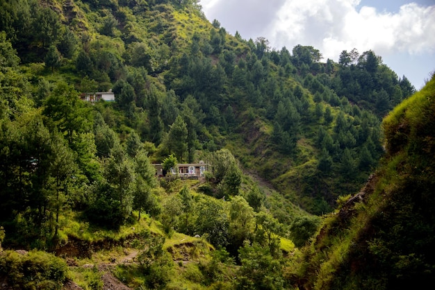 パキスタン、ナティア・ガリ・アボタバードの山とヴェレー