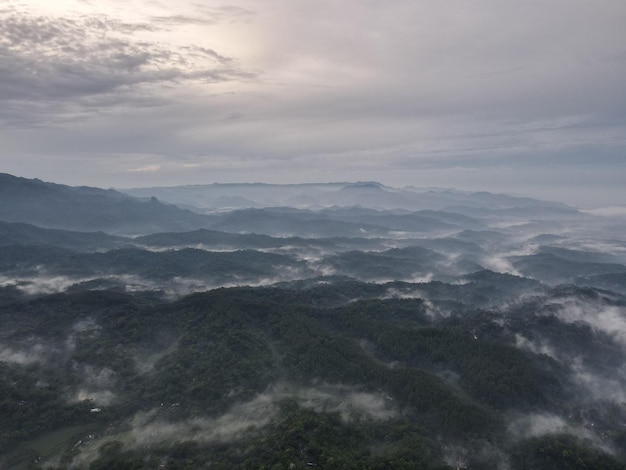 mountains view in the forest