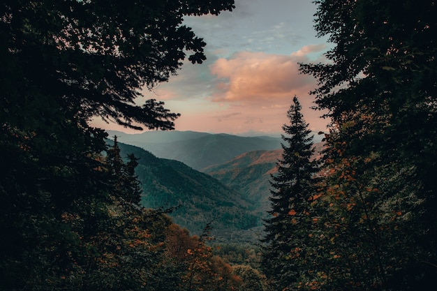 Photo mountains view trough trees