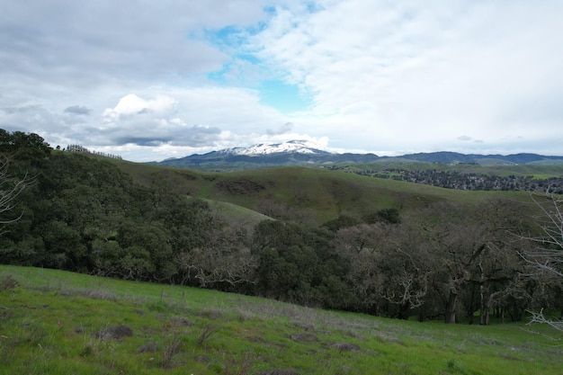 Montagne e fiori di campo intorno a san ramon dopo una pioggia