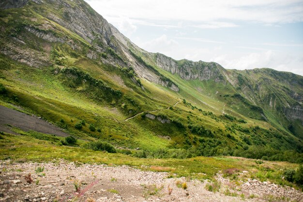 Горы с альпийскими лугами в Сочи. Красная Поляна.