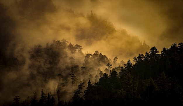 Foto montagne con nebbia e tramonto sullo sfondo in alaska