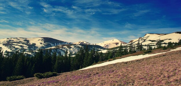 Mountains with snow