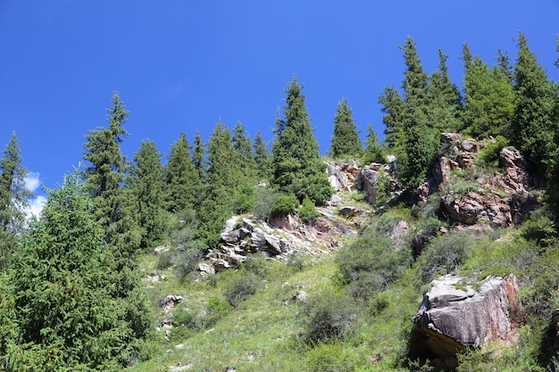 Mountains, wood .