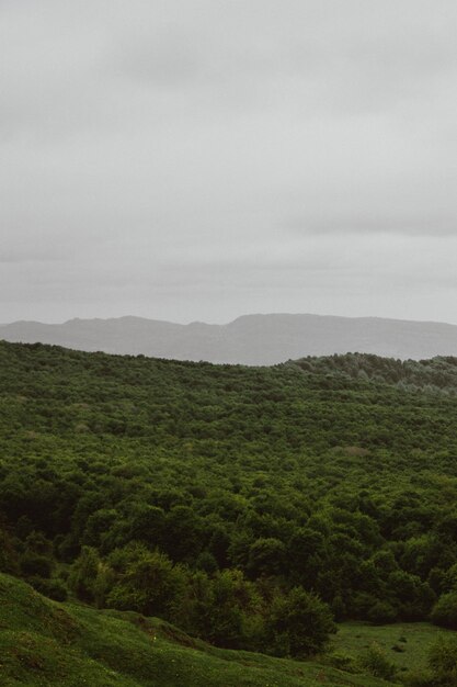 산