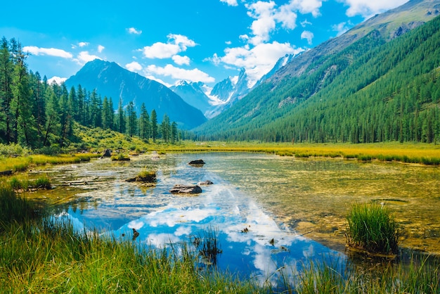 山の風景