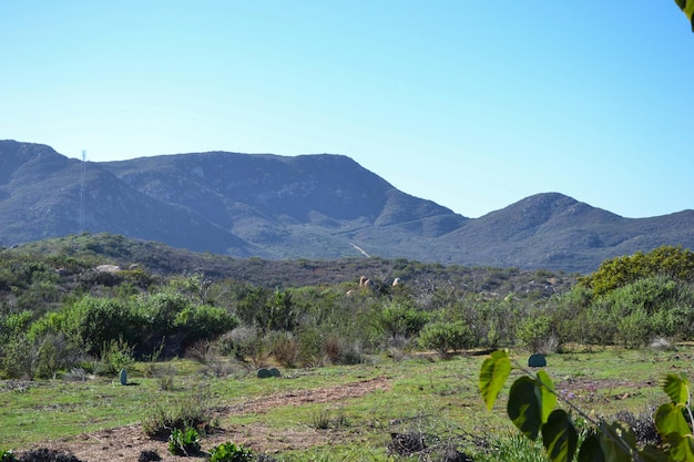 Mountainsides surrounding Lake Hodges in California