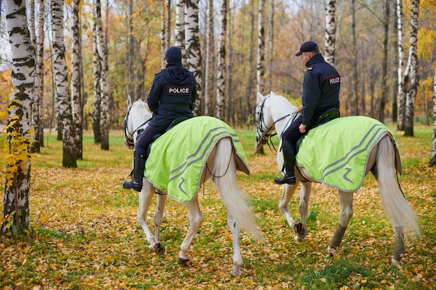 Mounted police in autumn city park, back view.